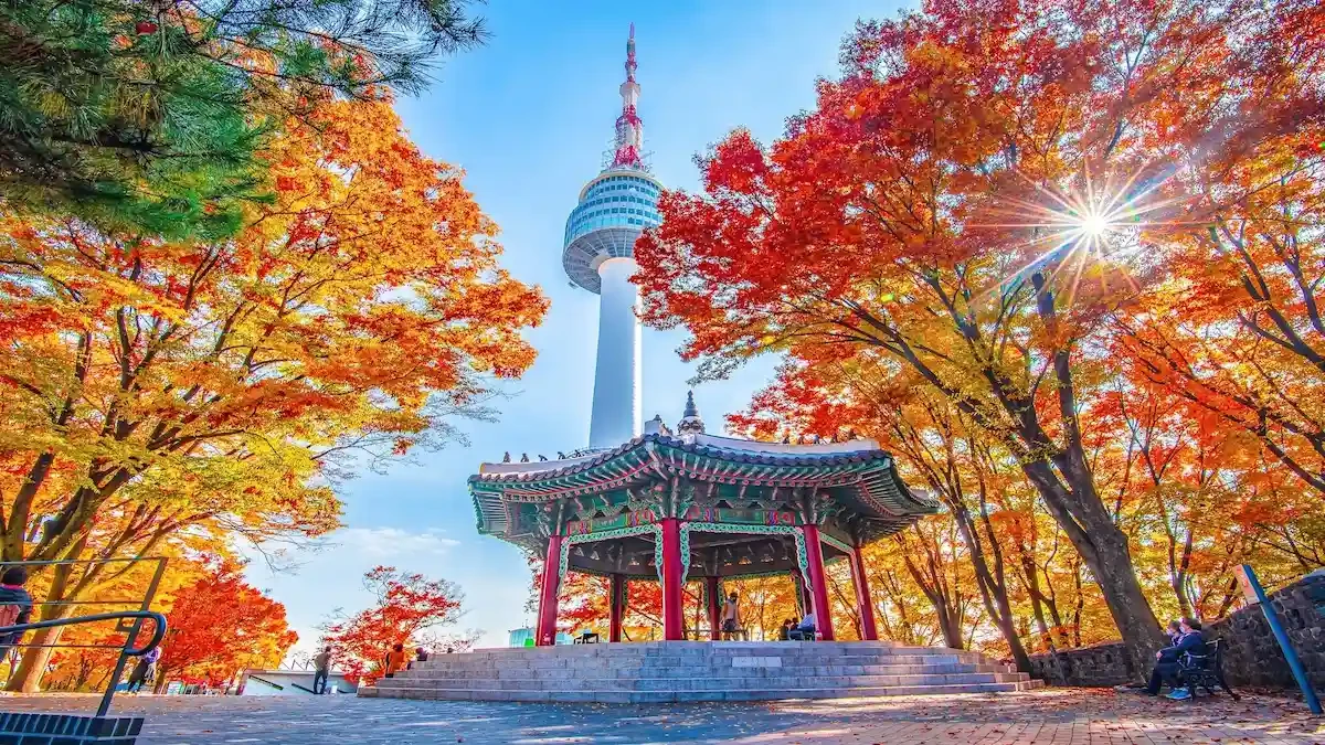 Best eSIM for South Korea Travel in 2026: NexaEsim & Top Alternatives