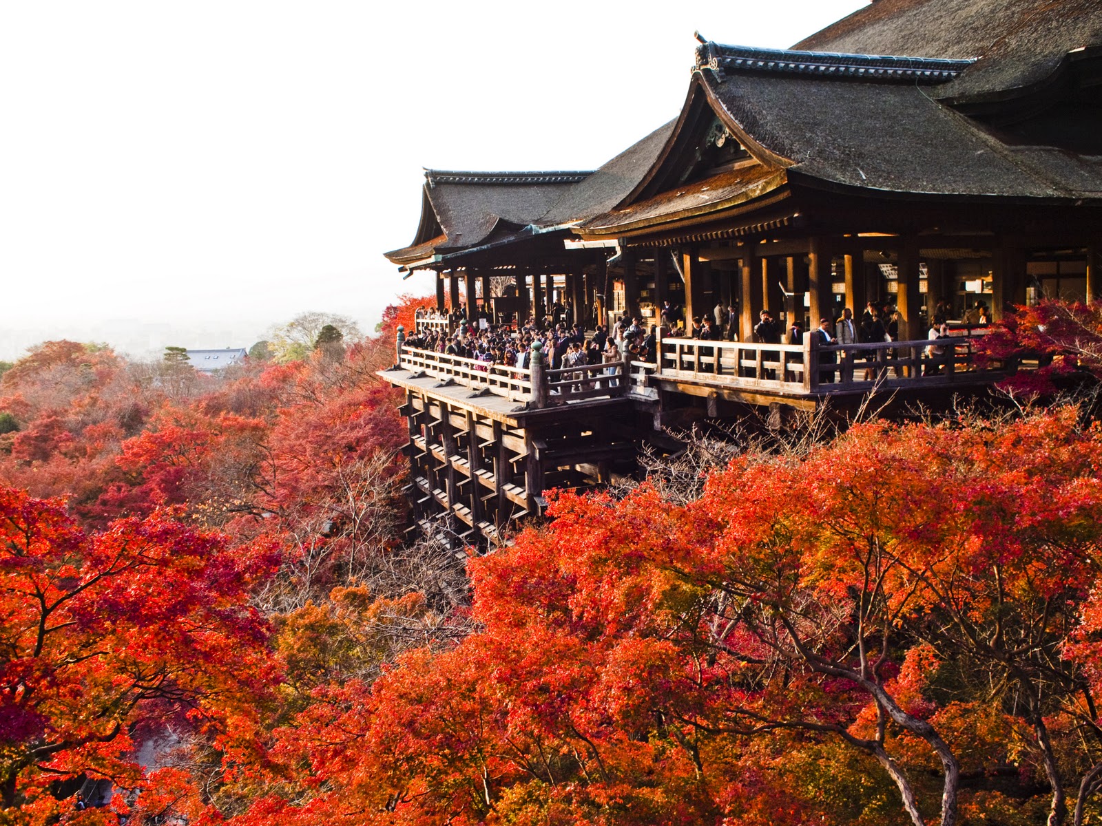 Esim Japan Travel