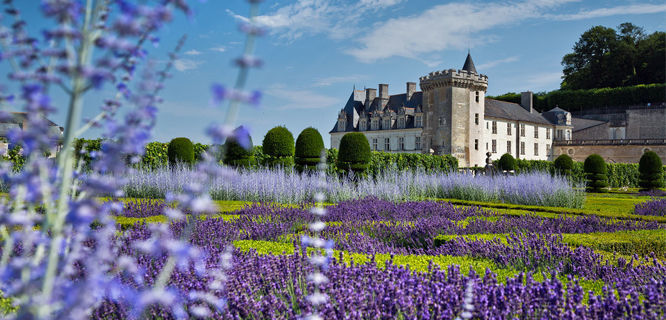france loire villandry chateau