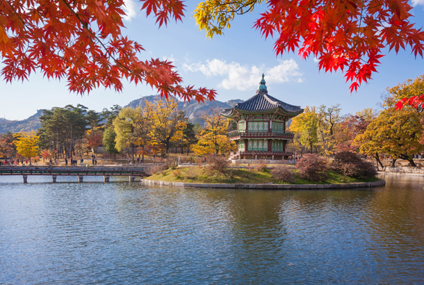 Gyeongbokgung palace in autumn Seoul South Korea On The Go Tours 324891477495442